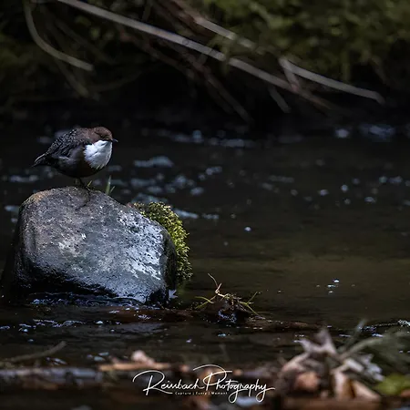 Appartamento Denkmal An Urlaub